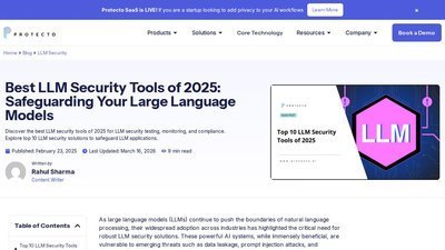 Protecto: Best LLM Tools 2025 preview