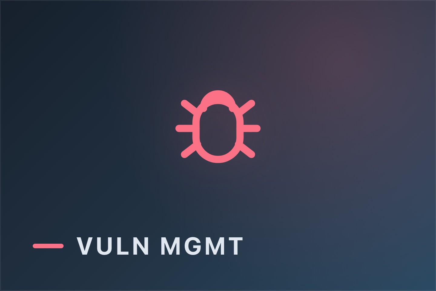 Vulnerability management digest